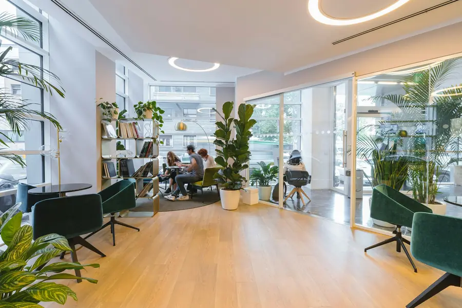Open workspace with plants and timber floor
