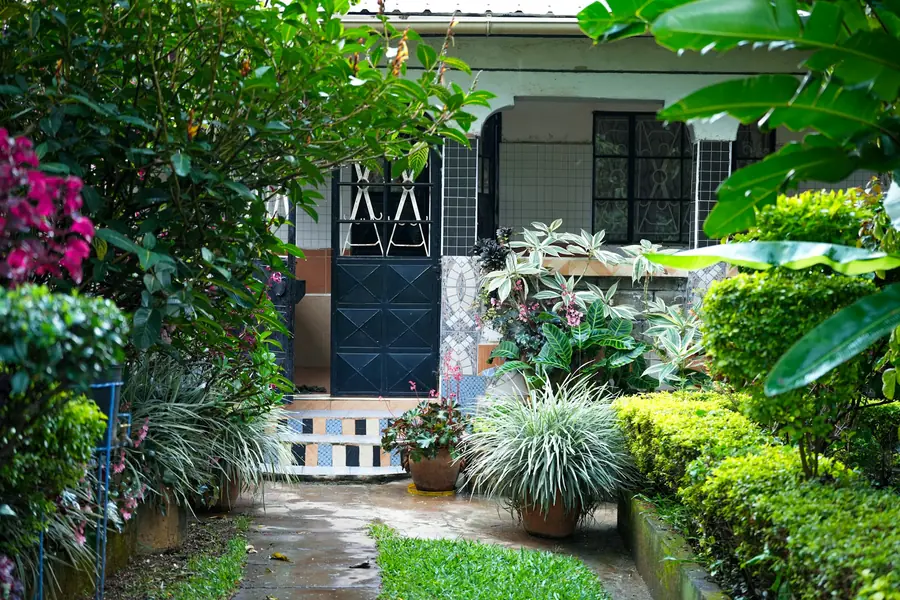 Lush garden path to a house entrance